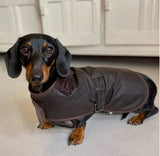 SALE! EARTHBOUND Premium Wax Dog Coats for Dachshund