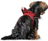 Alpen LOVE Harness