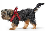 Alpen LOVE Harness