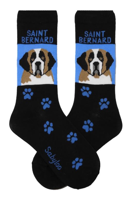 St Bernard 