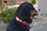 1 1/2" Large Contemporary Swiss Dog Collar